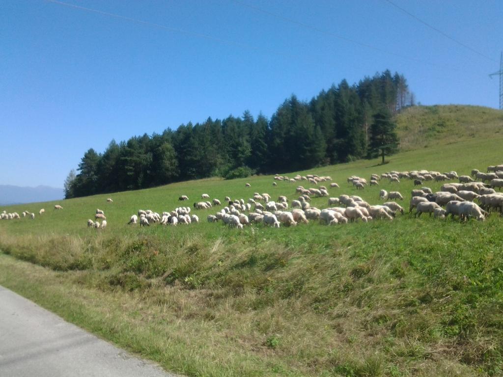 FATRAPARK 1 U SOVIČKY štúdio, kuchynka, kúpeľňa,s balkónom grátis parkovanie v podzemnej garáži Ruzomberok Esterno foto