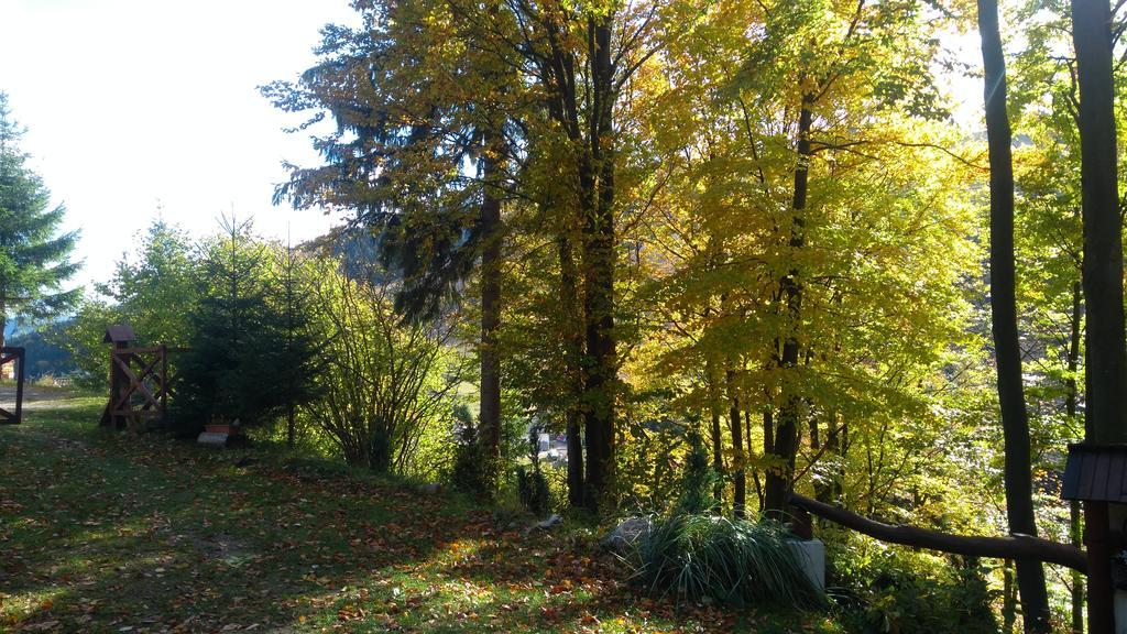 FATRAPARK 1 U SOVIČKY štúdio, kuchynka, kúpeľňa,s balkónom grátis parkovanie v podzemnej garáži Ruzomberok Esterno foto