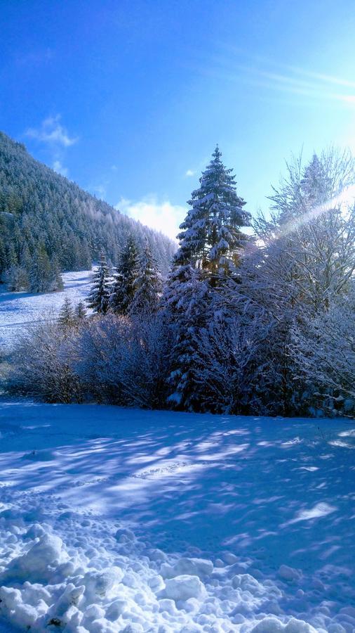 FATRAPARK 1 U SOVIČKY štúdio, kuchynka, kúpeľňa,s balkónom grátis parkovanie v podzemnej garáži Ruzomberok Esterno foto